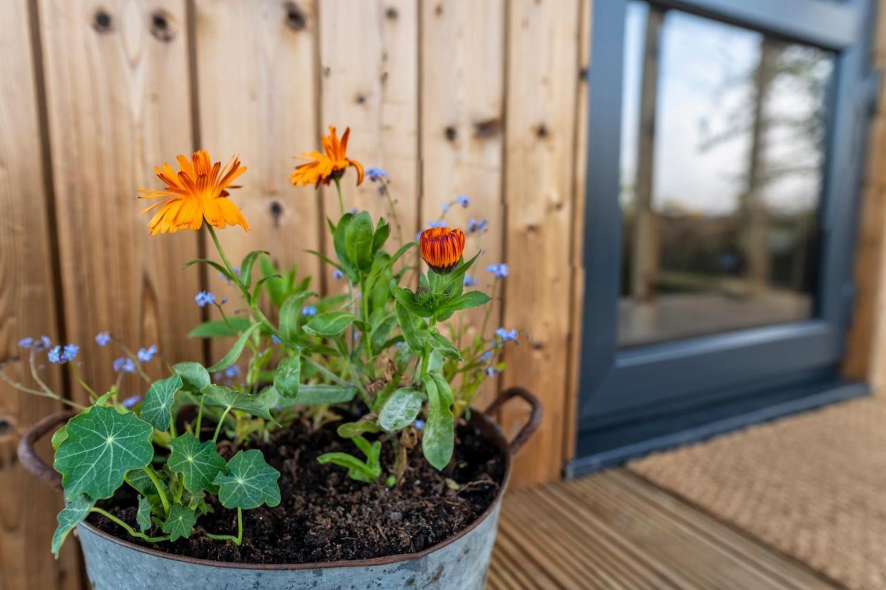 Luxury Glamping Cabin With Outdoor Bath On Cornish Flower Farm Truro Zewnętrze zdjęcie